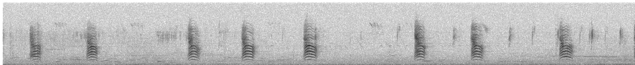 Black-vented Oriole - ML649308966