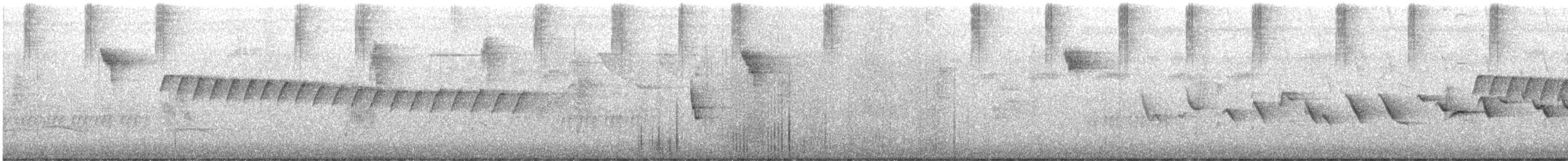 White-browed Gnatcatcher - ML649310474