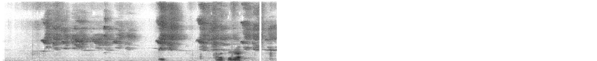 Maroon-bellied Parakeet - ML649313377