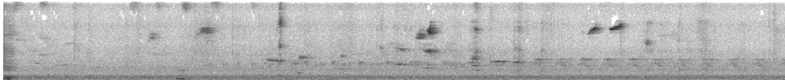 bird sp. - ML649313724