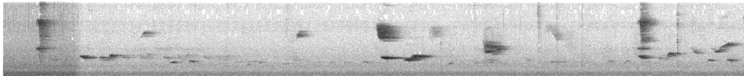 Ferruginous Antbird - ML649313725