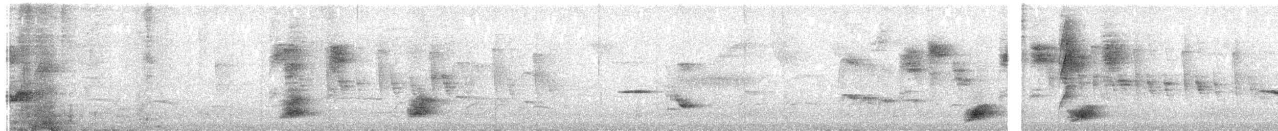 White-throated Spadebill - ML649313759