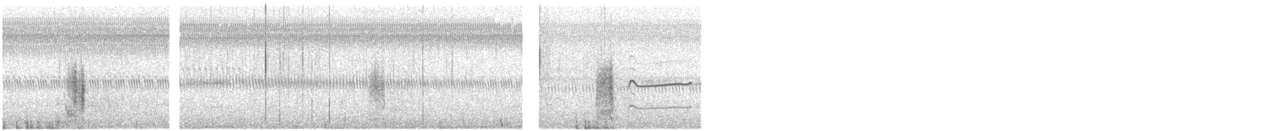 Wilson's Snipe - ML649314467