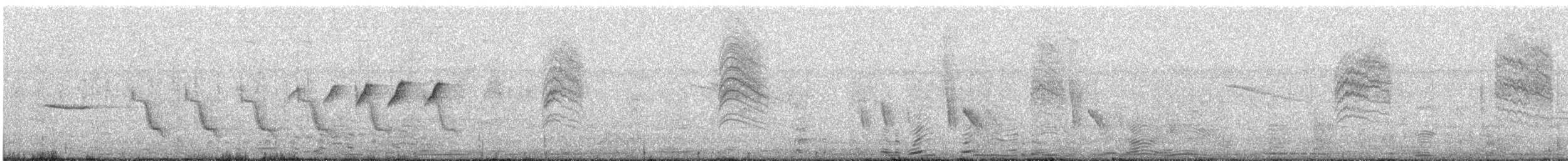 White-browed Gnatcatcher - ML649318796