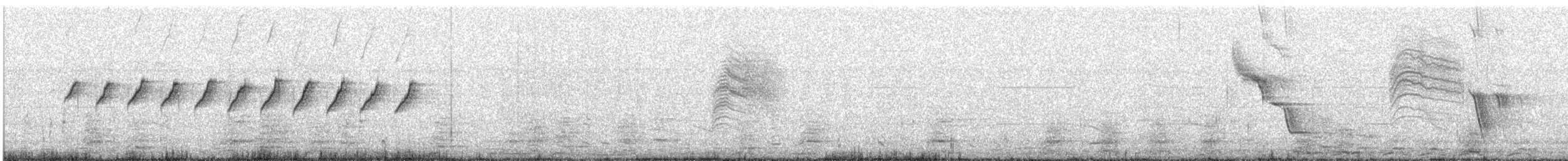 White-browed Gnatcatcher - ML649318797