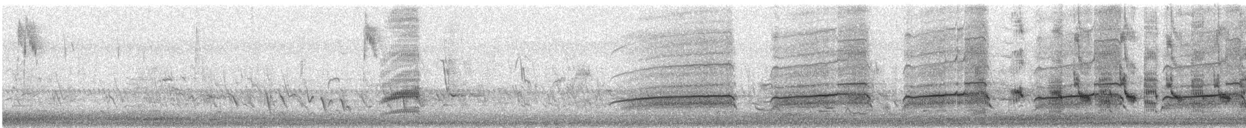 Скопа західна - ML649319400