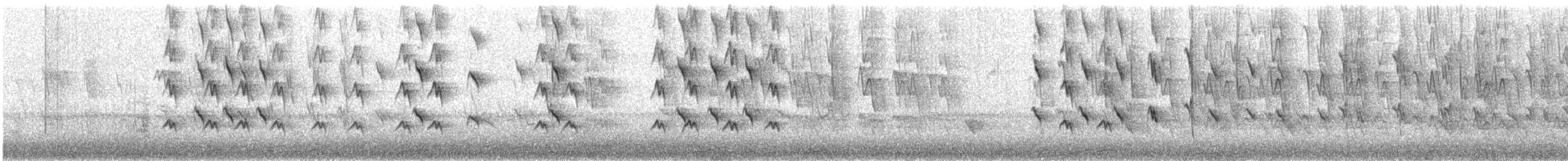 Медовка білощока - ML649319415