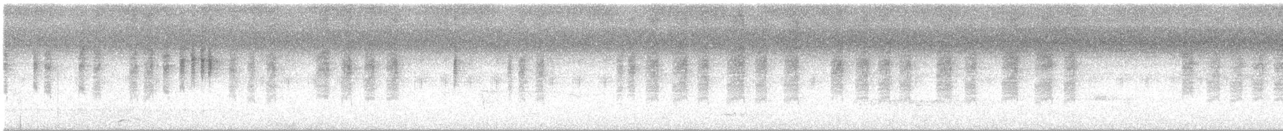Weißbrauensericornis - ML649321278