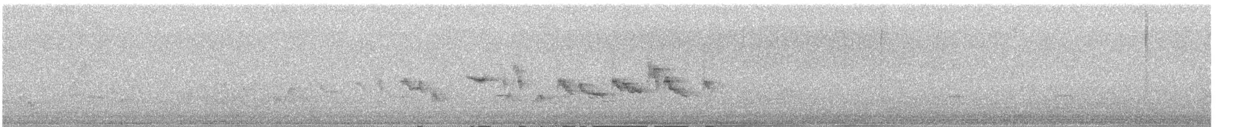 Cape White-eye (Cape) - ML649323054