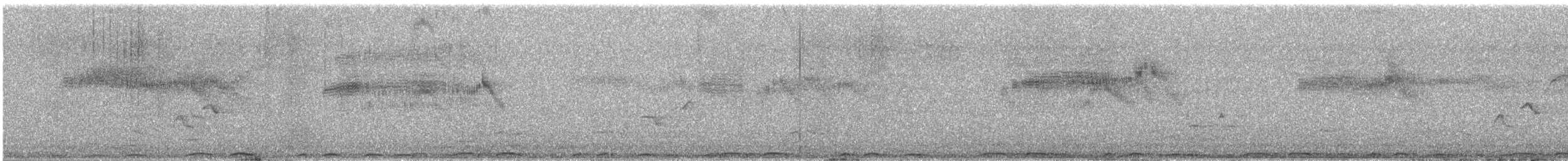 African Swift (African) - ML649323083