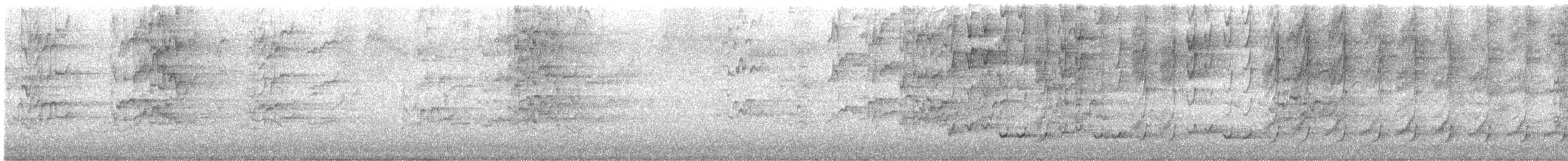 Сорочиця сіроспинна - ML649323453