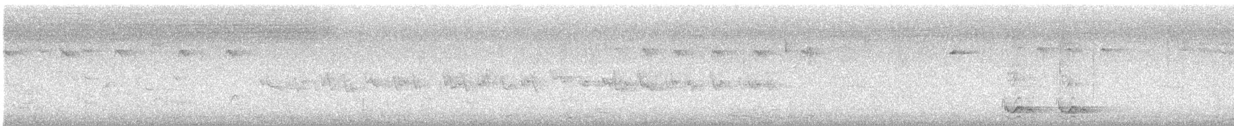 Pied Currawong - ML649323546