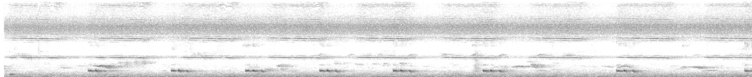 kukačka orientální - ML649326482