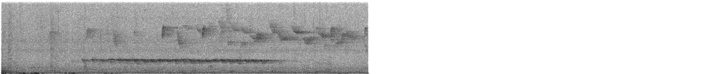 Медолюб великий - ML649327780