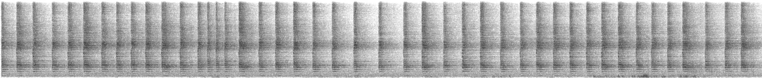 Pintada arrunta - ML649328113