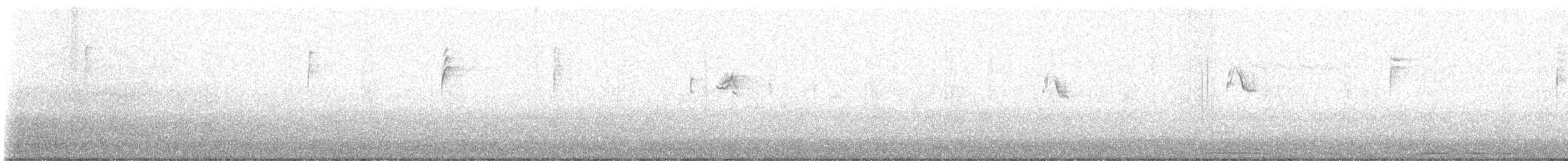 Mokolodi arrunta - ML649328114