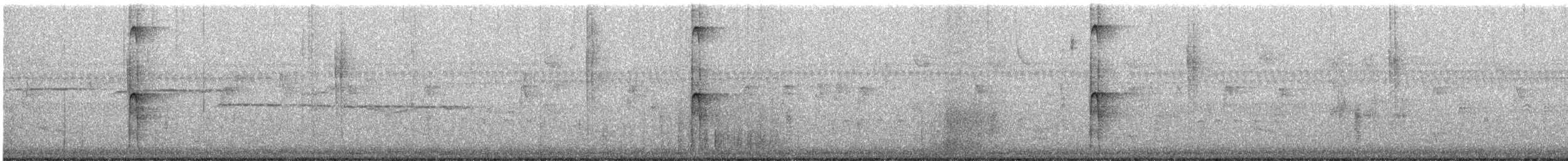 strakapoud americký - ML649328232