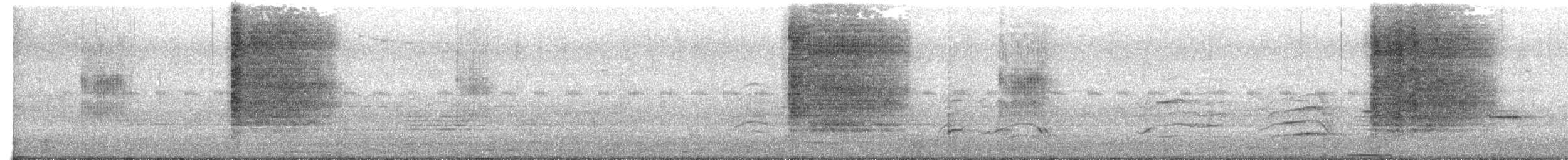 Oriental Magpie-Robin - ML649328401