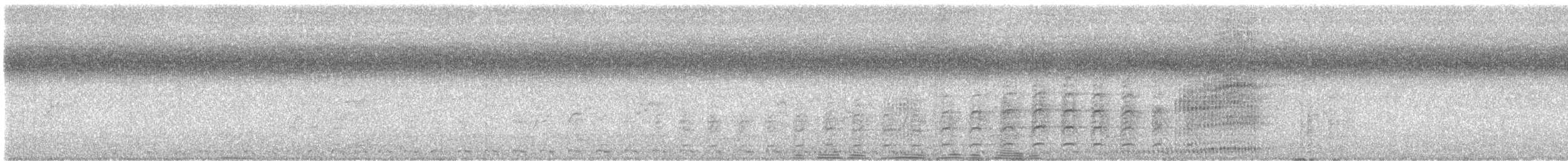 Channel-billed Cuckoo - ML649328495