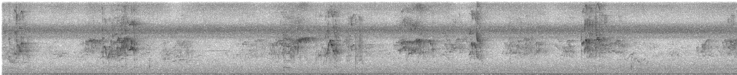 Scaly-breasted Lorikeet - ML649328498