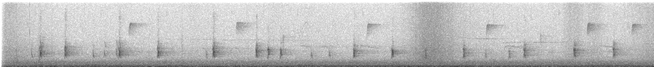 Hermit Thrush - ML649328542