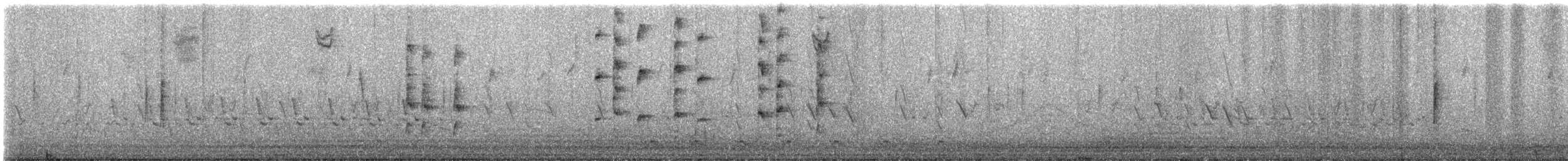 Uroilanda virginiarra - ML649328655