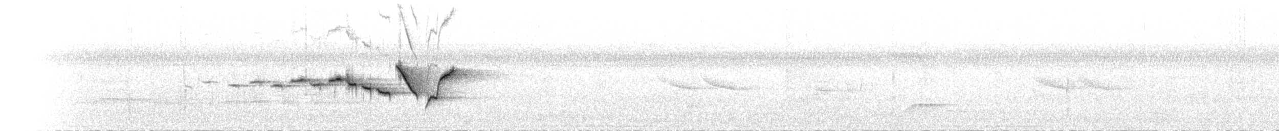 Yelpaze Kuyruklu Ötleğen - ML649329690