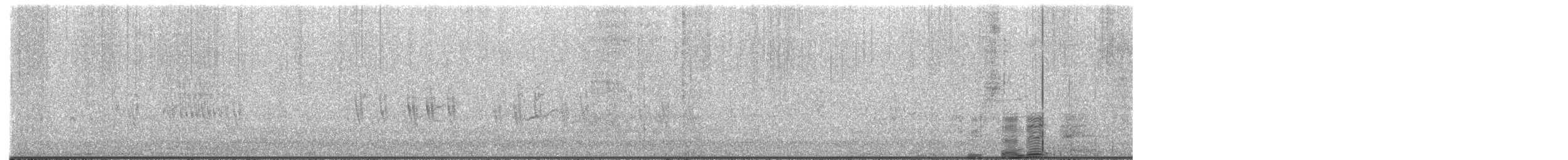 Acanthis flammea flammea/rostrata/islandica - ML649333257