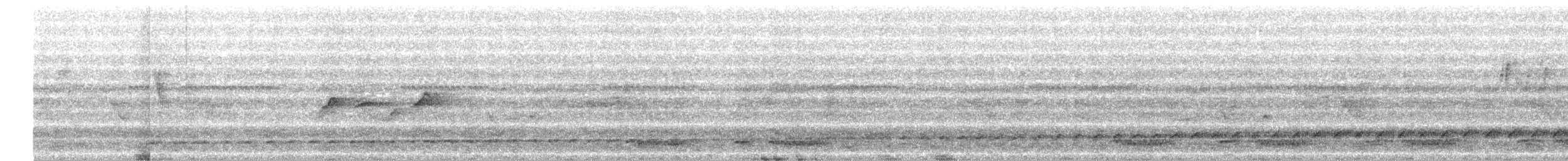 Rouloul ocellé - ML649336099