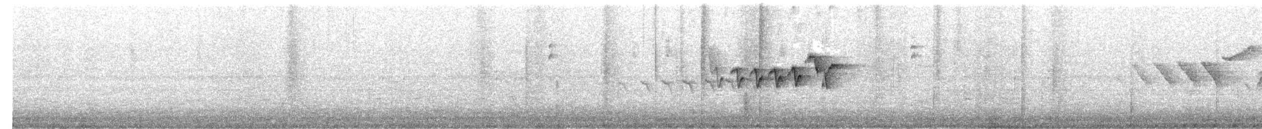 Northern Parula - ML649338395