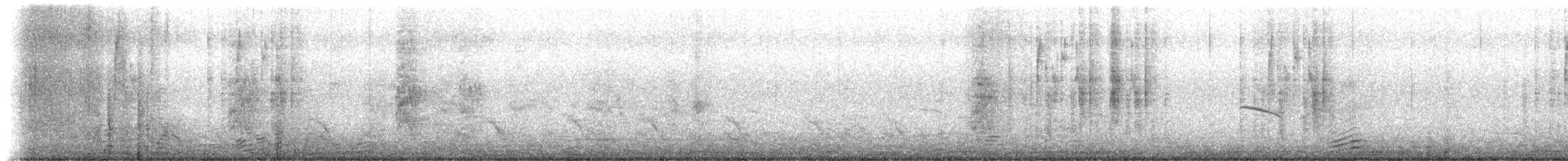 Red-tailed Comet - ML649340644