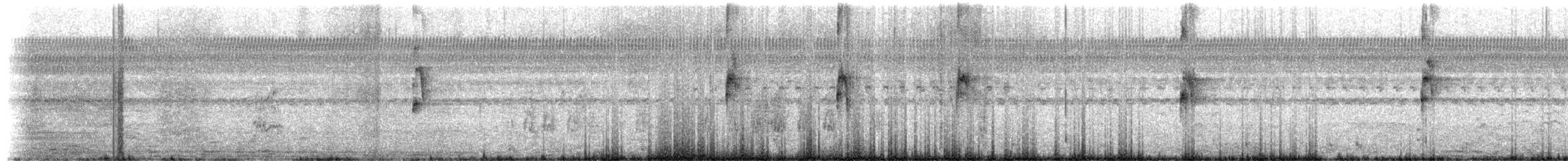 Plumbeous Rail - ML649340848