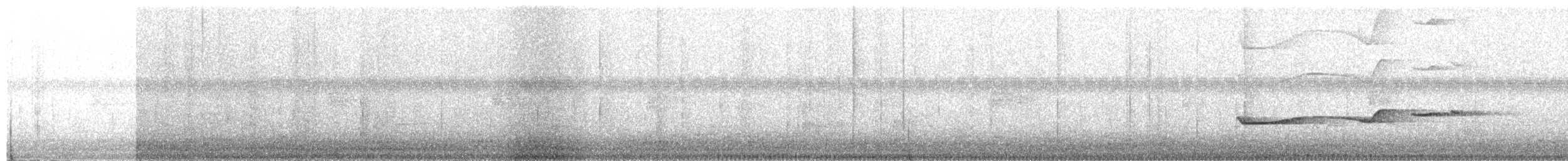 Northern Schiffornis - ML649346237