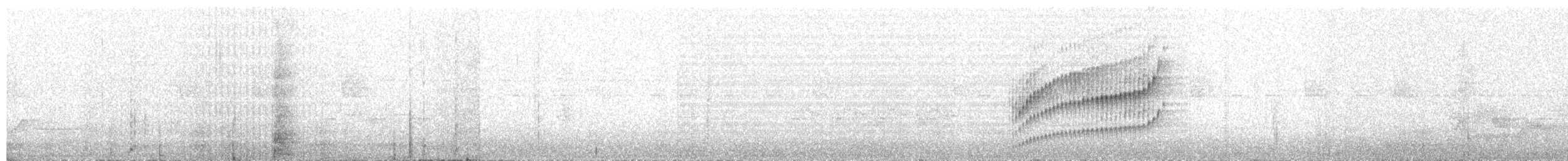 Spot-breasted Wren - ML649346556