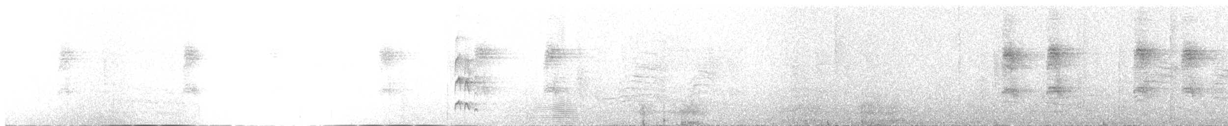 Stub-tailed Spadebill - ML649346642