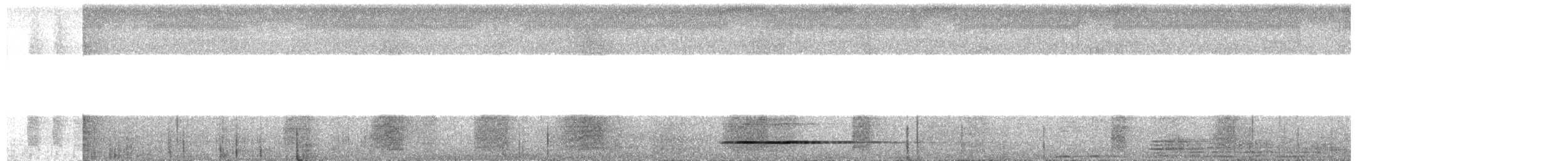 Thicket Tinamou - ML649346690