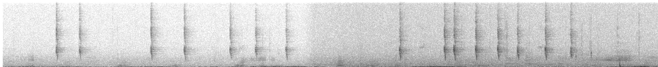 Wedge-tailed Sabrewing - ML649346827