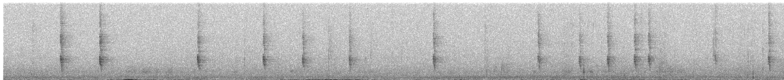 Wedge-tailed Sabrewing - ML649346828