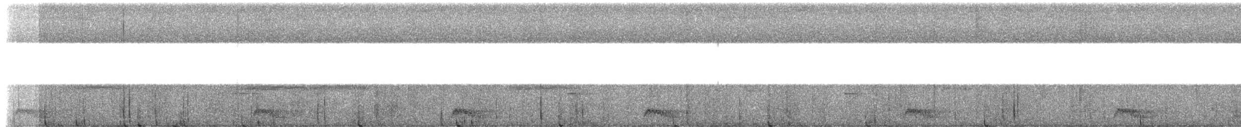 Yucatan Poorwill - ML649347067