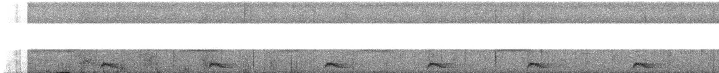 Yucatan Poorwill - ML649347068