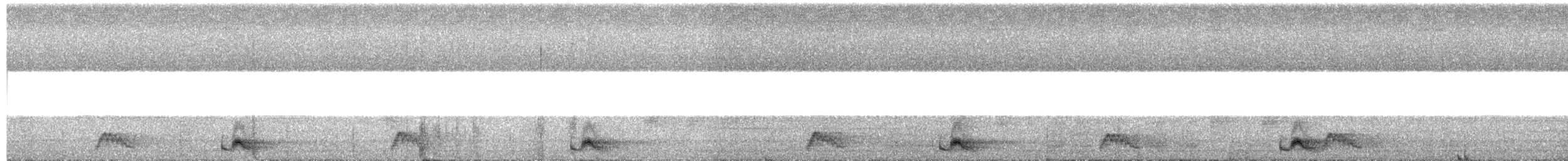 Yucatan Poorwill - ML649347134