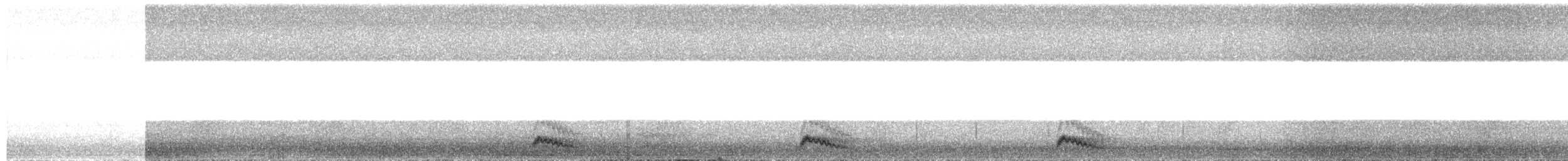 Yucatan Poorwill - ML649347135