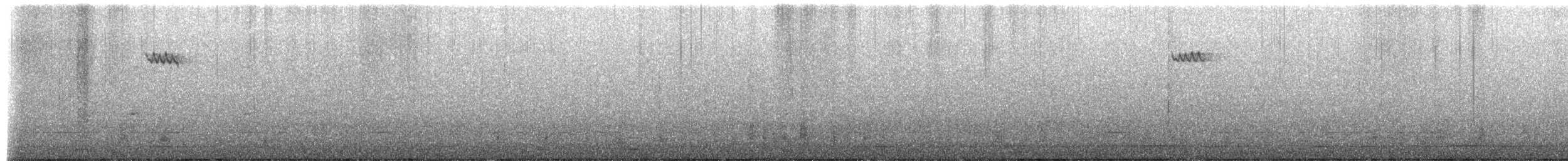 Amerikabaumläufer - ML649347329