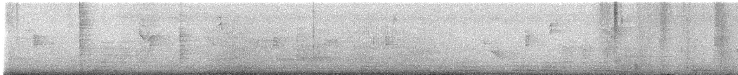 Cernícalo Americano - ML649348470