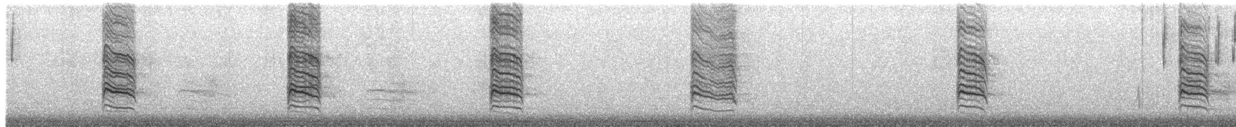 Katzenspottdrossel - ML649352209