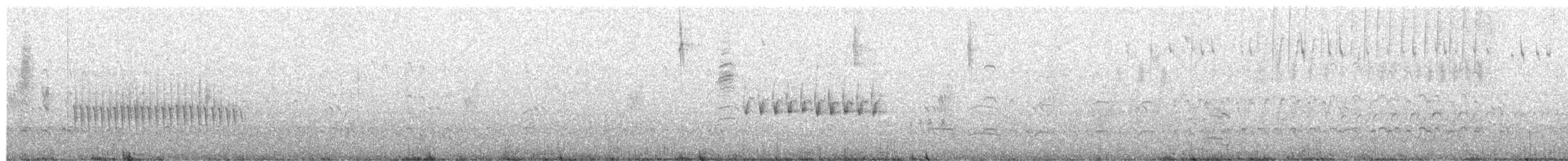 Grass Wren - ML649352434