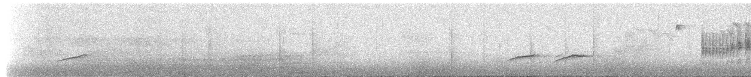 Eurasian Nuthatch - ML649352749