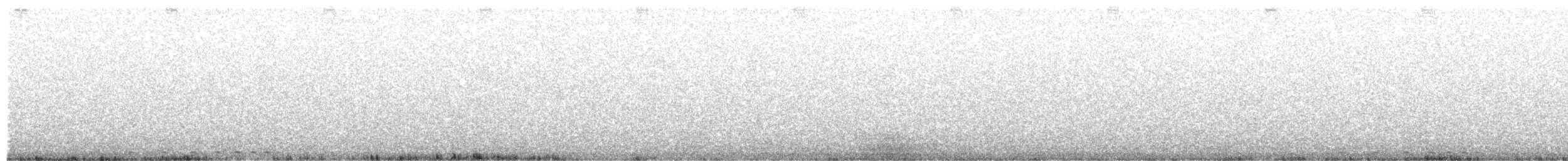 Western Screech-Owl - ML649353527