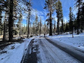 Road 430, Deschutes, Oregon, United States - eBird Hotspot