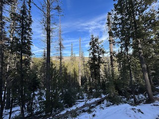 Road 430, Deschutes, Oregon, United States - eBird Hotspot
